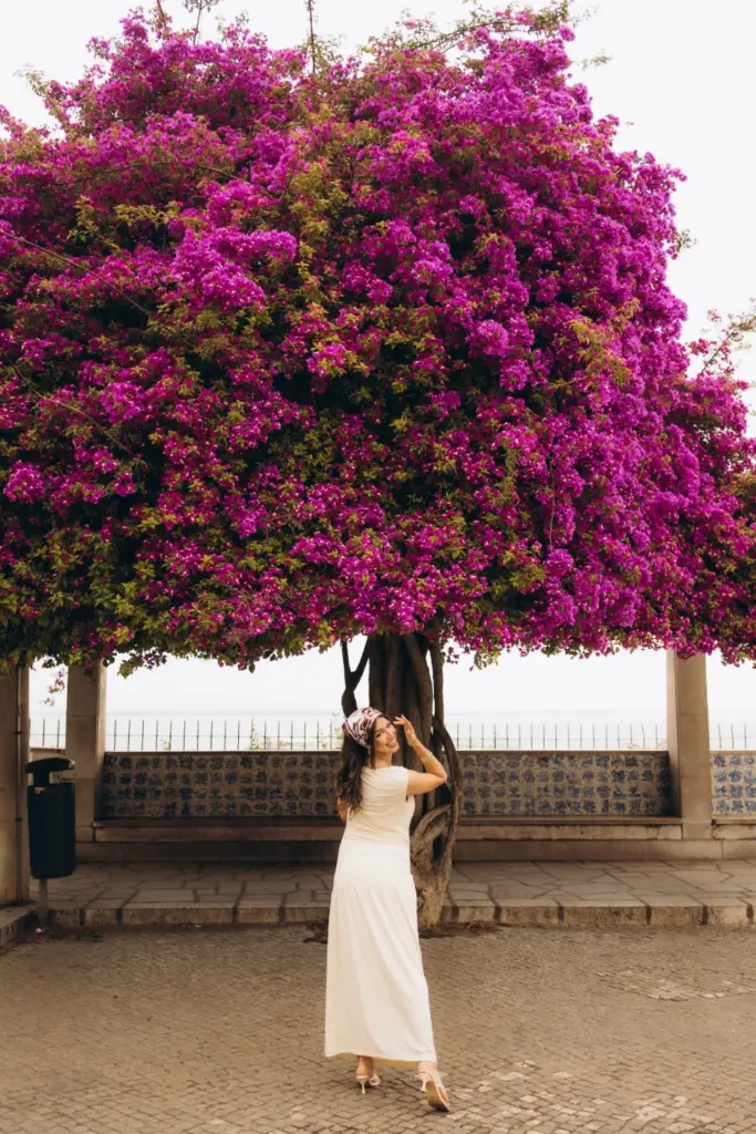 Woman under a bougainvillea tree above the river